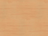 H1582 - Ellmau Beech