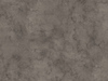K539 - Fossil Arosa