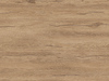 K544 - Hazel Silverjack Oak
