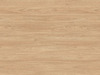 H1242 - Natural Sheffield Acacia