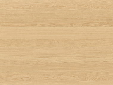 SH-IVORY - Ivory Oak