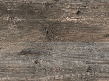 0419 - Pinero Pine