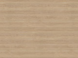 H3309 - Sand Gladstone Oak