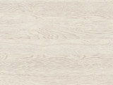 H3335 - White Gladstone Oak