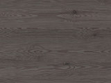 H3406 - Anthracite Mountain Larch