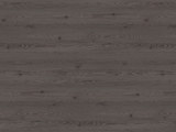 H3406 - Anthracite Mountain Larch