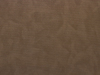 FD63-NEBULOSA