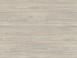 K019 - Silver Liberty Elm
