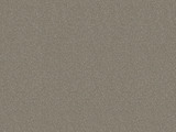 LTM04-AM - Beige Metallic