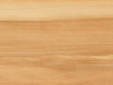 CEDAR-VN - Cedar of Lebanon