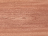 SAPELECC - Sapele Crown Cut veneer