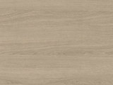 H1377 - Sand Orleans Oak