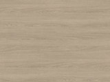 H1377 - Sand Orleans Oak