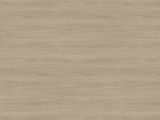 H1377 - Sand Orleans Oak
