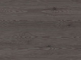H3406 - Anthracite Mountain Larch