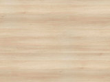 H1277 - Light Lakeland Acacia