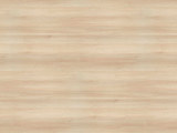 H1277 - Light Lakeland Acacia
