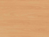 H1582 - Ellmau Beech