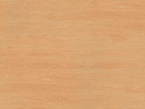 H1582 - Ellmau Beech