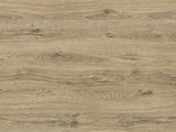 D3313-SP - St Petersburg Oak