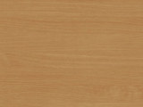 D381-PR - Beech