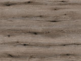 K366-PW - Fossil Evoke Oak