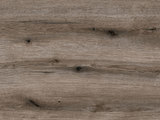 K366-PW - Fossil Evoke Oak