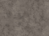 K539 - Fossil Arosa