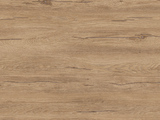 K544 - Hazel Silverjack Oak