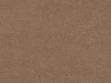 F323 - Cobra Bronze
