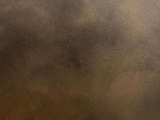 LB14-PRIMOTHERMA - Bronze Veil