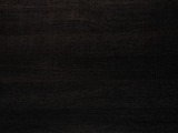 LM08 - Dark Lady