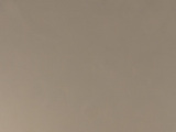LTM8LE826 - Champagne Metal Plus