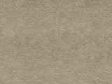 LTM8LF306 - Moonlight Metallic Bronze