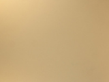 LTM8LE846 - Light Gold Metal Plus