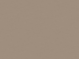 F579 - Champagne Crossed Metal
