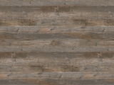 0419 - Pinero Pine