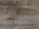 0419 - Pinero Pine