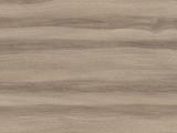 4059 - Lionga Elm
