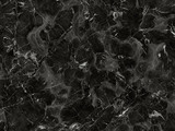 L813246 - Oriental Black	