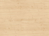 0375 - Maple