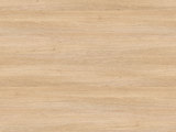 8431 - Nagano Oak